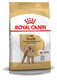 Poodle Adult 1.5kg Ξηρά Τροφή για Ενήλικους Σκύλους Μικρόσωμων Φυλών με Πουλερικά και Ρύζι Royal Canin